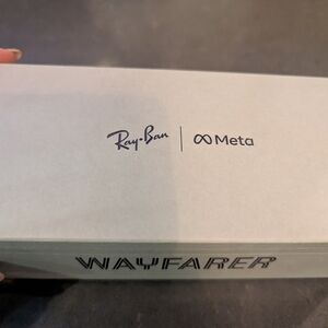 Wayfarer Matte Black Sunglasses